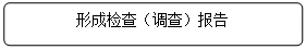 流程图: 可选过程: 形成检查（调查）报告